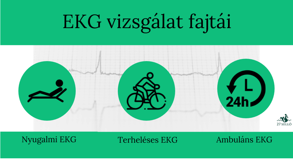 EKG vizsgálat fajtái