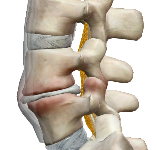 csípőízületek alsó hátfájás