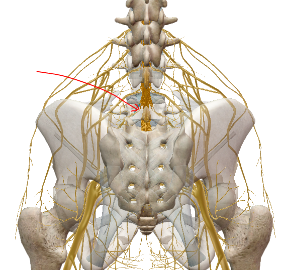 fáj a gerince osteochondrosis 2 fokos nyaki