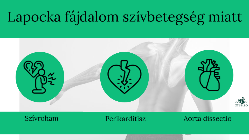 Magyar Osteológiai és Osteoarthrológiai Társaság és Országos Osteoporosis Központ On-line