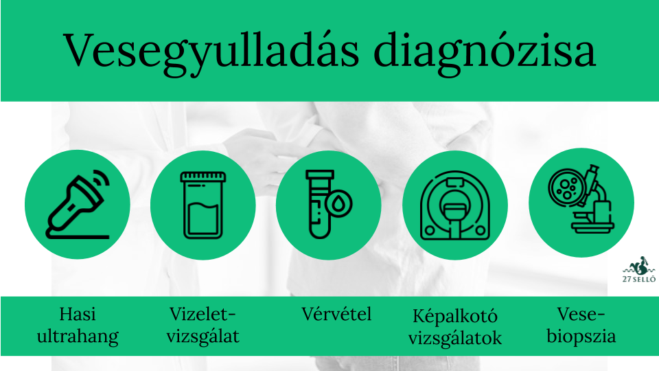 gyógynövények kezelésére a 2. típusú diabétesz cukorbetegek száma magyarországon